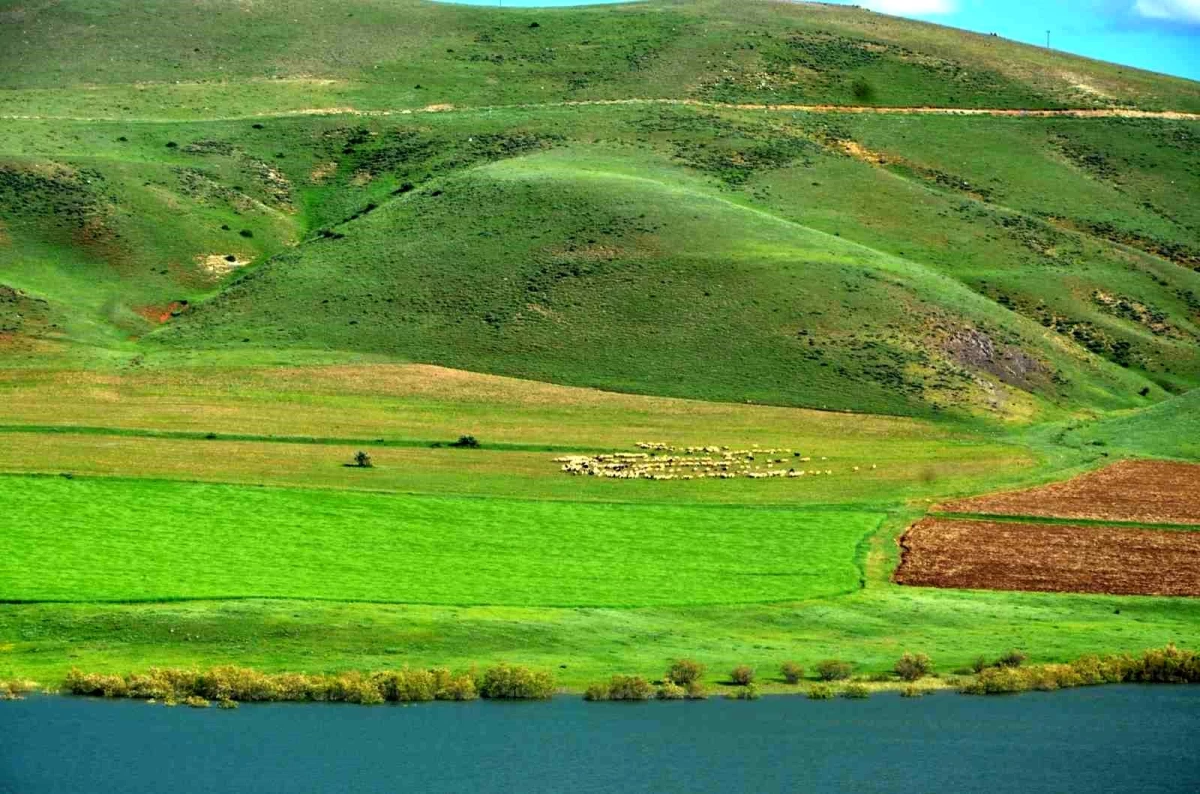 Erzurum İli Süt Ürünleri Sektörü Araştırma Raporu